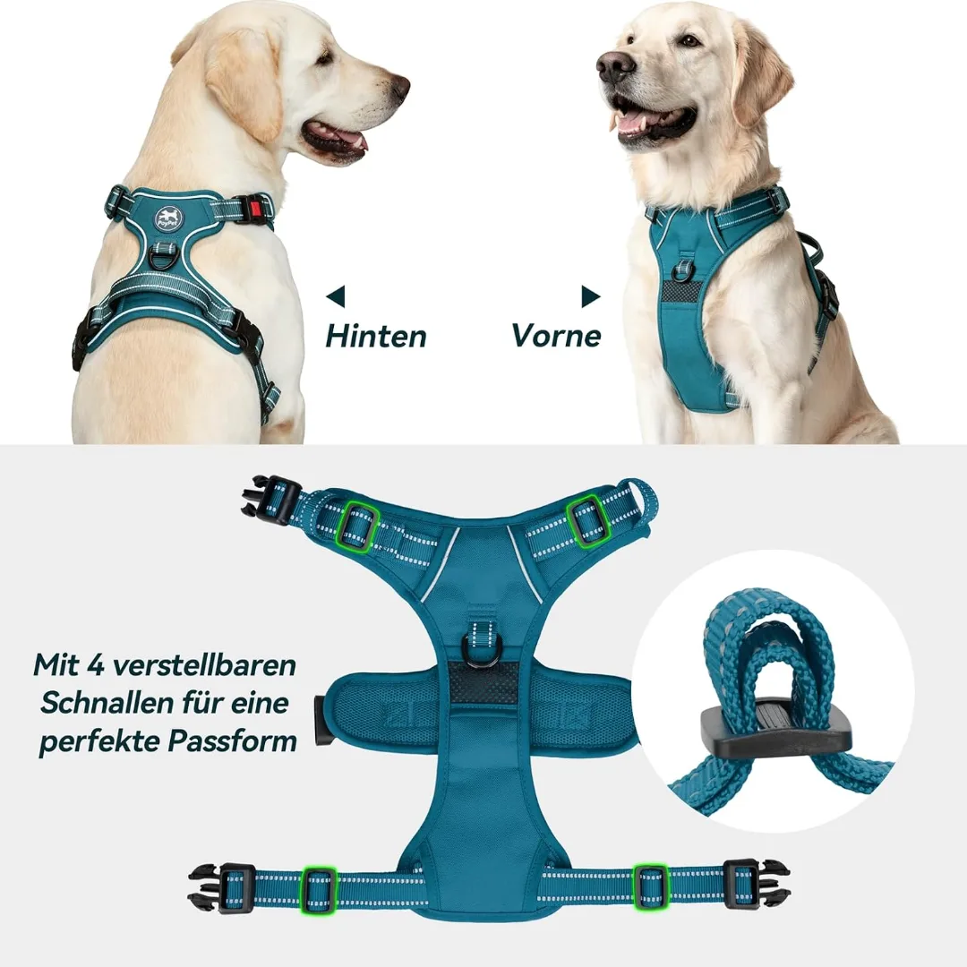 Poypet Harnais pour Chien sans Pull, vendu par DZ DOG SHOP KARIM