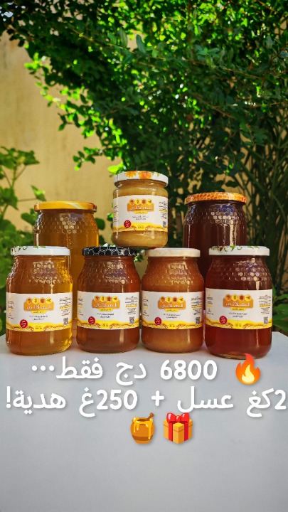 🍯 عرض 2 كغ عسل طبيعي من 4 أنواع + هدية 250غ, أمين الهلالي BMB Bees