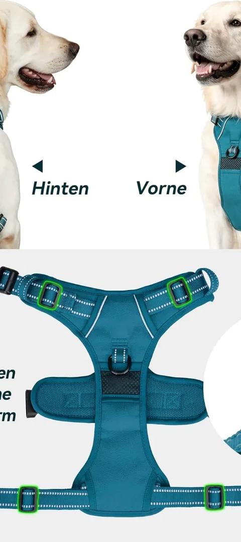 Poypet Harnais pour Chien sans Pull, DZ DOG SHOP KARIM
